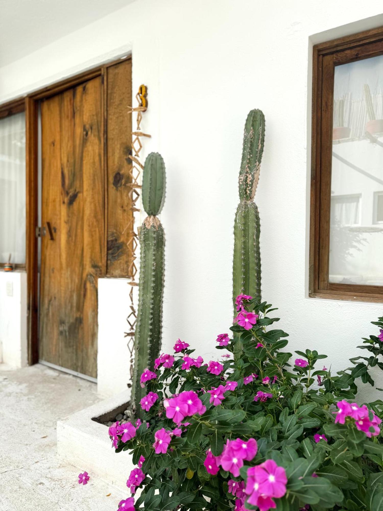 Casa Leone La Punta Otel Brisas de Zicatela Dış mekan fotoğraf