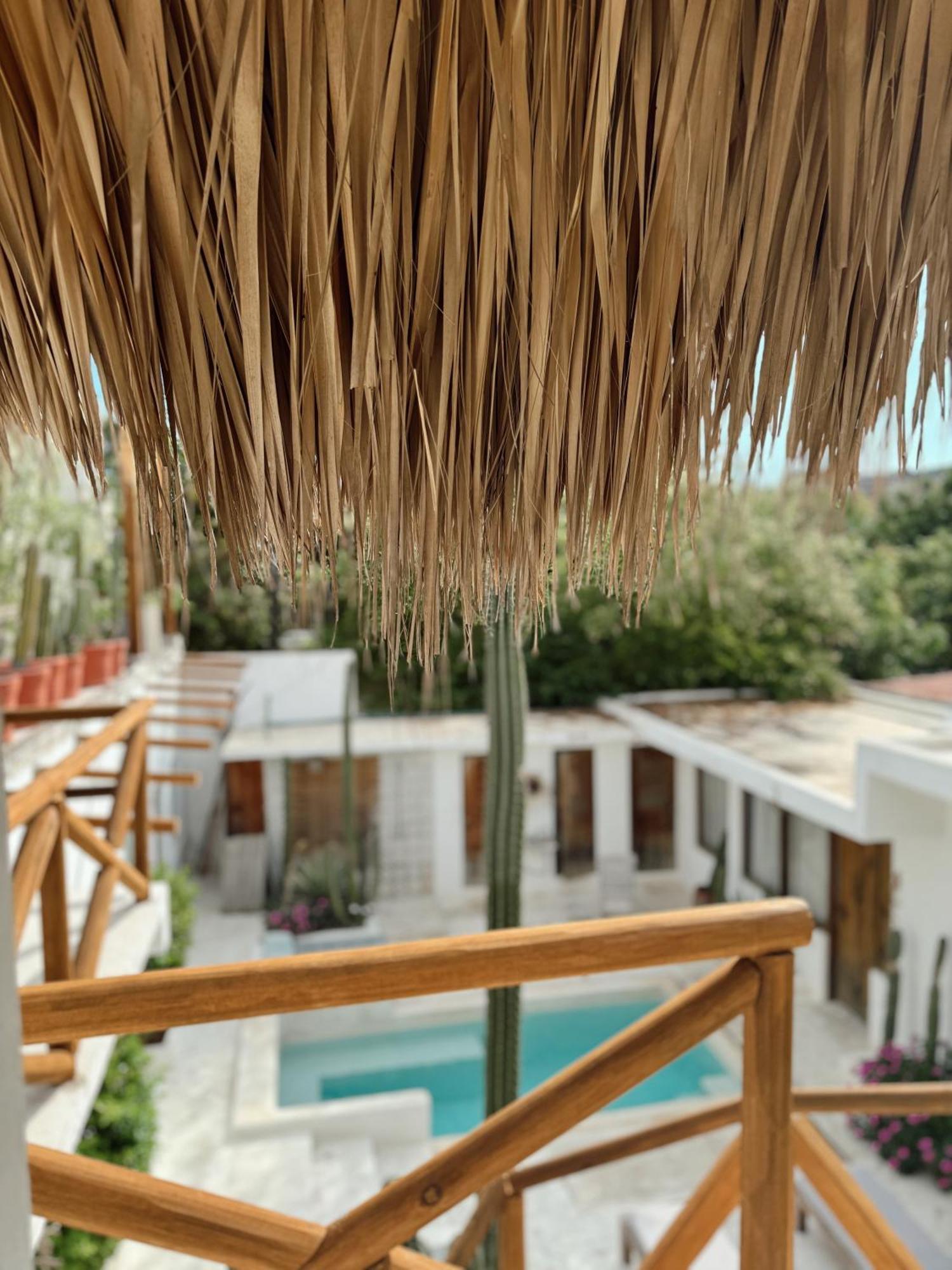 Casa Leone La Punta Otel Brisas de Zicatela Dış mekan fotoğraf