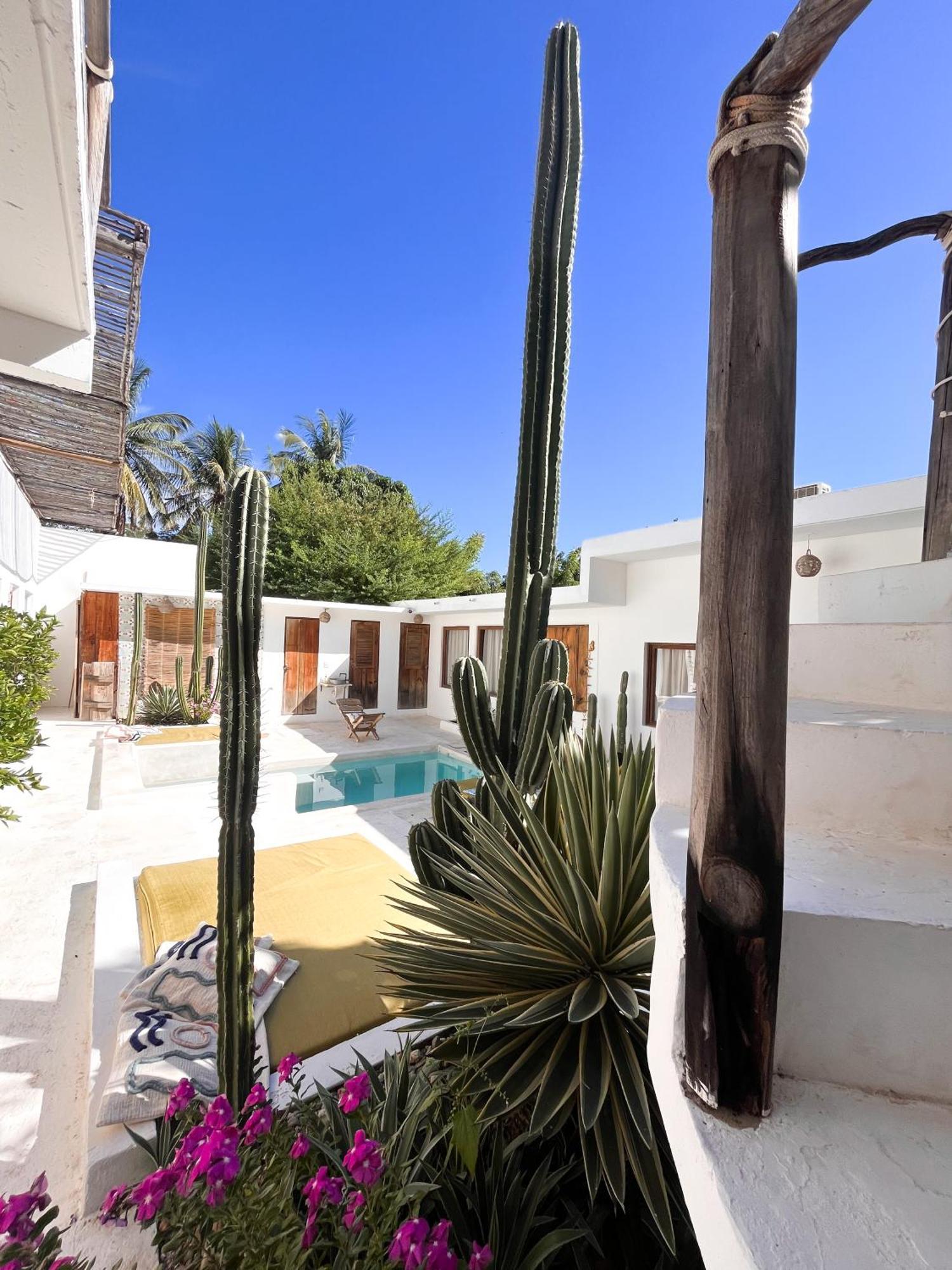 Casa Leone La Punta Otel Brisas de Zicatela Dış mekan fotoğraf